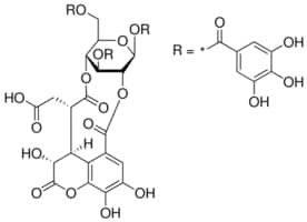 Merck CHEBULINIC ACID, >=85% (LC/MS-ELSD)
