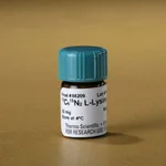 Thermo Fisher Scientific L-Lysine-2HCl, 13C6, 15N2 for SILAC, 50 mg