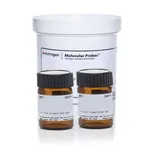 Thermo Fisher Scientific NBT/BCIP Reagent Kit