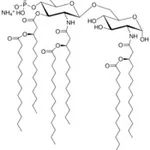 Merck 3D-(6-ACYL) PHAD (R)