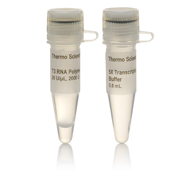 Thermo Fisher Scientific T3 RNA Polymerase (20 U/&mu;L)