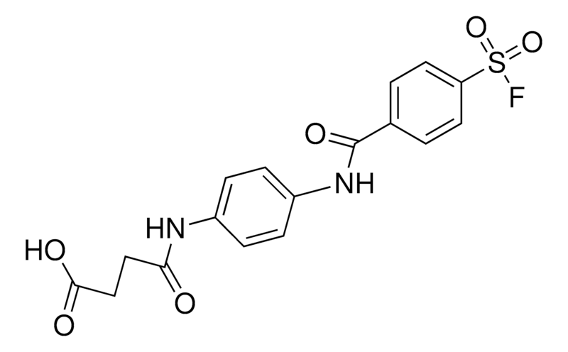 Merck 4'-(3-FLUOROSULFONYLBENZAMIDO)S