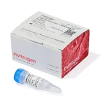 Thermo Fisher Scientific Lipofectamine RNAiMAX Transfection Reagent, 0.3 mL