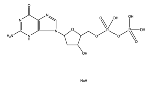 Merck 2``-DEOXYGUANOSINE 5``-DIPHOSPHATE SODIUM