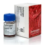 Thermo Fisher Scientific Dynabeads CD8, 5 mL