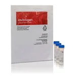Thermo Fisher Scientific TetraSpeck Fluorescent Microspheres Sampler Kit