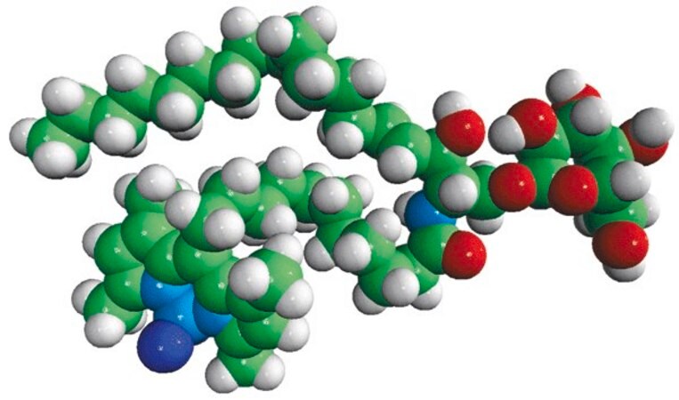 Merck C11 TopFluor(R) Galactosyl Ceramide