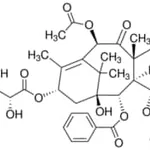 Merck PACLITAXEL FROM TAXUS YANNANENSIS