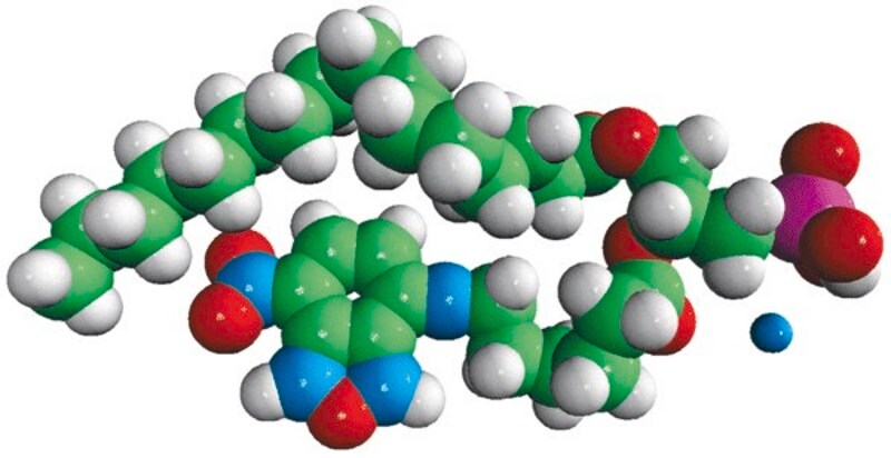 Merck 16:0-06:0 NBD PA