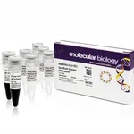 Thermo Fisher Scientific GeneRuler Express DNA Ladder