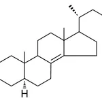 Merck 5-ALPHA-CHOLEST-8(14)-EN-3-BET - 1 MG&