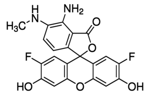 Merck DAF-FM SOLUTION, 5 MM IN DMSO, >=97%&