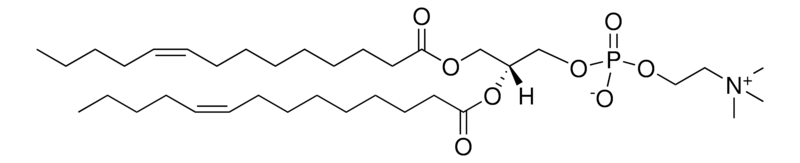 Merck 14:1 (Delta9-Cis) PC