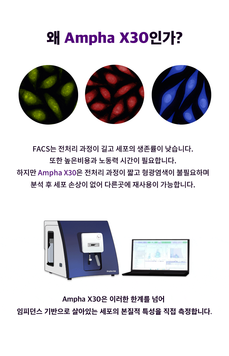 Detail_Ampha X30_02.gif
