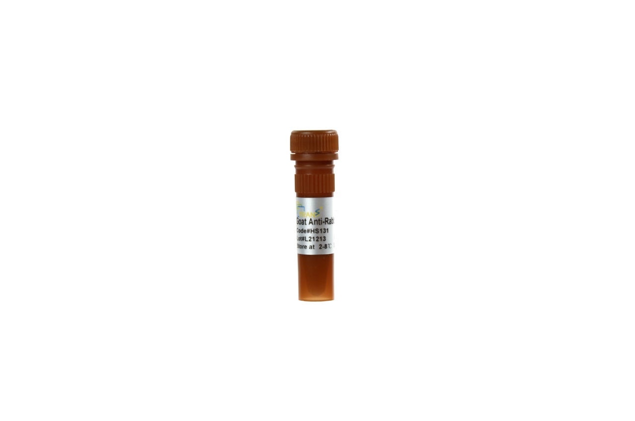 ProteinFind® Goat Anti-Rabbit IgG (H+L), AF488 Conjugate