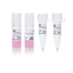 Thermo Fisher Scientific Jump In T-REx HEK 293 Kit