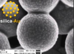Merck GOLD COATED SILICA NANOPARTICLES, 1% WT&