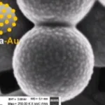 Merck GOLD COATED SILICA NANOPARTICLES, 1% WT&