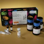 Thermo Fisher Scientific In-Gel Tryptic Digestion Kit, 150 Reactions