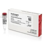 Thermo Fisher Scientific Template Switching Oligo, 48 Reactions