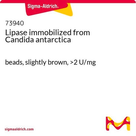 Merck Lipase immobilized from Candida antarctica