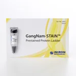 Intron GangNam-STAIN™ Prestained Protein Ladder