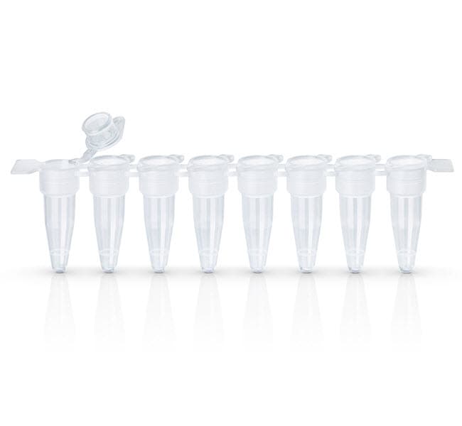 Thermo Fisher Scientific EasyStrip Plus Tube Strip with Attached Flat Caps, Sustain Series