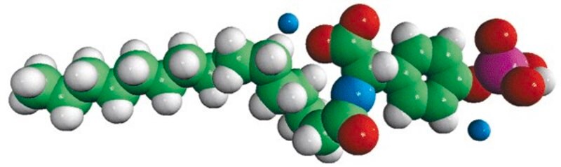 Merck N-P Tyrosine PA