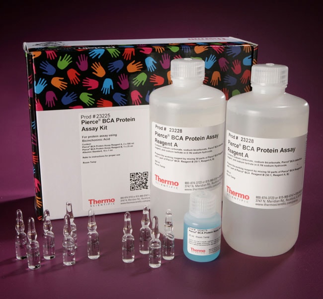 Thermo Fisher Scientific Pierce BCA Protein Assay Kit, 1 Kit (1 L)