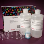 Thermo Fisher Scientific Pierce BCA Protein Assay Kit, 1 Kit (1 L)