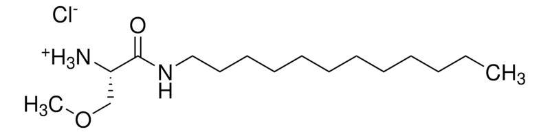 Merck MSDH