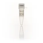Thermo Fisher Scientific NoLimits 6000 bp DNA Fragment