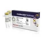 Thermo Fisher Scientific XbaI (10 U/μL), 1,500 units