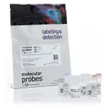 Thermo Fisher Scientific Click-iT Plus Alexa Fluor 555 Picolyl Azide Toolkit