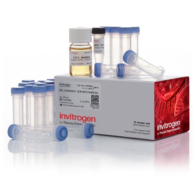 Thermo Fisher Scientific One Shot TOP10F` Chemically Competent E. coli, 21 x 50 &mu;L