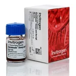 Thermo Fisher Scientific Dynabeads Sheep Anti-Rat IgG, 5 mL