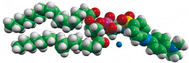 Merck 18:1 Dabsyl PE