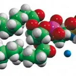 Merck 18:1 Dabsyl PE