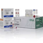 Thermo Fisher Scientific TaqMan Fast Cells-to-CT Kit