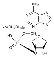 Merck SP-ADENOSINE 3``,5``-CYCLIC MONOPHOSPHOROT