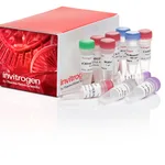 Thermo Fisher Scientific TOPO TA Cloning Kit for Sequencing, without competent cells
