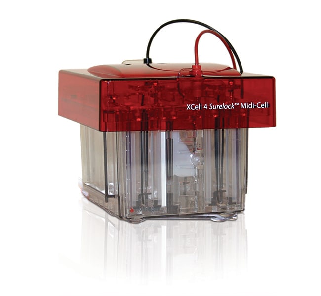 Thermo Fisher Scientific XCell4 SureLock Midi-Cell