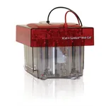 Thermo Fisher Scientific XCell4 SureLock Midi-Cell