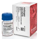 Thermo Fisher Scientific Exosome-Human CD63 Isolation/Detection Reagent (from cell culture media)