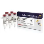 Thermo Fisher Scientific Buffer R (10X)
