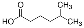 Merck 5-METHYLHEXANOIC ACID-