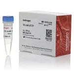 Thermo Fisher Scientific dTTP (10 mM)