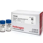 Thermo Fisher Scientific Dynabeads CD4 Positive Isolation Kit