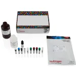 Thermo Fisher Scientific eBioscience Immune Response T Cell Activation Induced Markers Kit