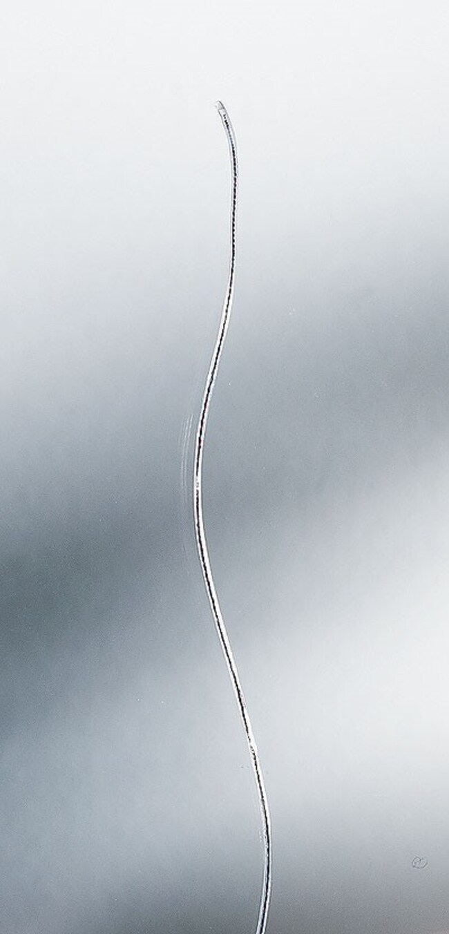 Thermo Fisher Scientific Digi-Sense Type T Quick-response PFA-insulated thermocouple probe